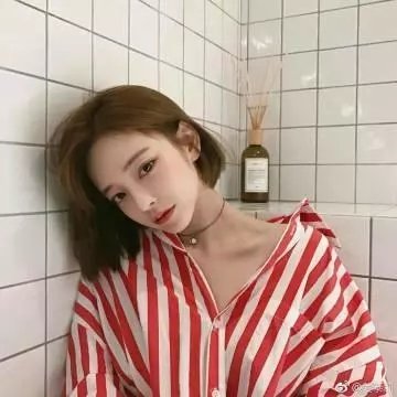 小菊的春天